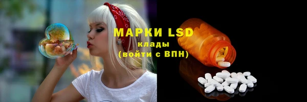 СК Мегион