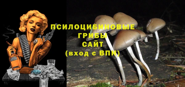 винт Медногорск