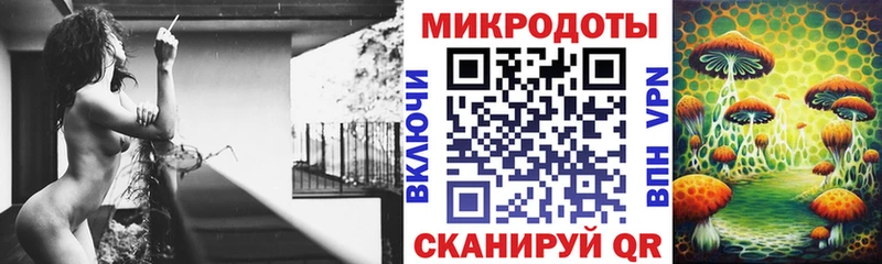 darknet телеграм  Пугачёв  Галлюциногенные грибы Cubensis  наркотики 
